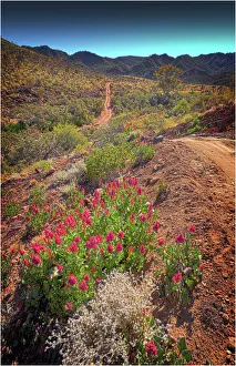 Arkaroola, an area in the northern flinders Ranges of South Australia Arkaroola, an area in the northern flinders Ranges of South Australia