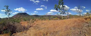 Blue Sky Landscapes Prints: Australian Bush
