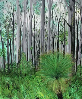 Photographers/nicola morgan photography nicola morgan artworks/australian forest beauty Photographers/nicola morgan photography nicola morgan artworks/australian forest beauty