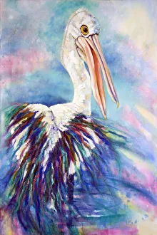 Australian Pelican Painting Australian Pelican Painting