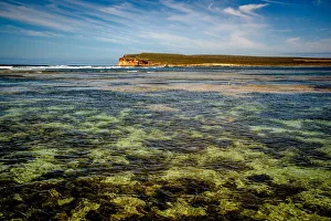 Baird Bay at Eyre Peninsula, South Australia Baird Bay at Eyre Peninsula, South Australia
