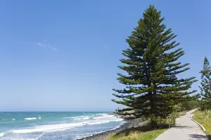 Environmental Conservation Images Prints: Beach Path Boardwalk