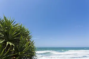 New South Wales Coastal Scenes Prints: Beach View