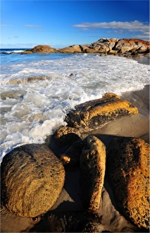 Beer Barrel beach, east coastline of Tasmania, Australia Beer Barrel beach, east coastline of Tasmania, Australia