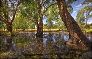 A billabong at Yea, Central Victoria, Australia A billabong at Yea, Central Victoria, Australia