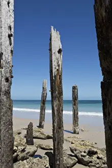 Blue Australian Views Print - Limited Edition Artwork