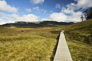 Boardwalk at Cradle Mountain Boardwalk at Cradle Mountain