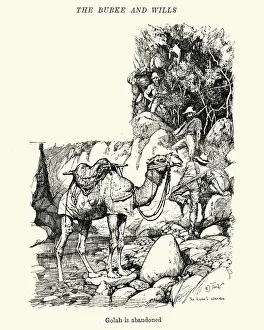 Burke and Wills expedition in Australia Golah is abandoned Burke and Wills expedition in Australia Golah is abandoned