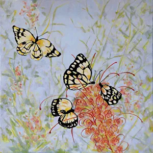 Caper White Butterflies on a Grevillea Flower Acrylic Painting Caper White Butterflies on a Grevillea Flower Acrylic Painting