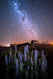 Church of The Good Shepherd and Milky Way with lupins blooming, Lake Tekapo, New Zealand Church of The Good Shepherd and Milky Way with lupins blooming, Lake Tekapo, New Zealand
