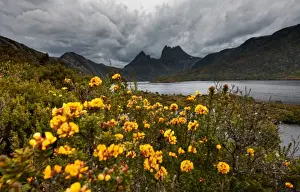 Cradle Mountain Tasmania Prints: cloudy cradle mountain