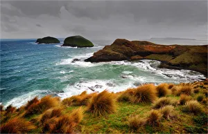 Coastal view near Woolnorth, Tasmania, Australia Coastal view near Woolnorth, Tasmania, Australia