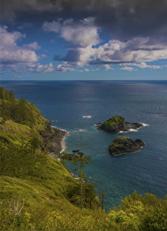 Coastline in the national park, Norfolk Island Coastline in the national park, Norfolk Island