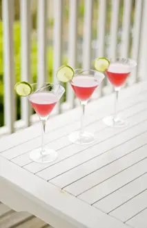 Images Dated 14th July 2014: Print of Cosmopolitans Party on Balcony in Australian Summer