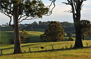 Countryside near Bairnsdale, Victoria, Australia Countryside near Bairnsdale, Victoria, Australia