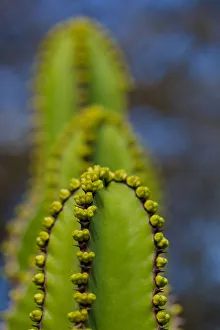 Craig Jewell Photography