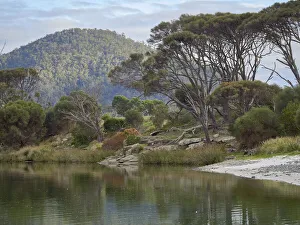 Douglas River Estuary in Eastern Tasmania Douglas River Estuary in Eastern Tasmania