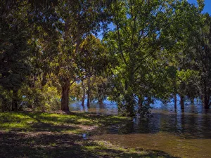 Flooding at Lake Jindabyne full to capacity after summer rains, Snowy mountains Flooding at Lake Jindabyne full to capacity after summer rains, Snowy mountains