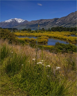 Glenorchy, Wetlands, South Island New Zealand Glenorchy, Wetlands, South Island New Zealand