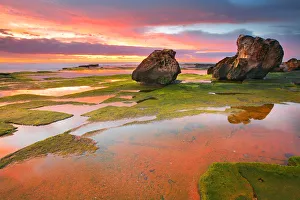 Grean moss on rocks and reflection of red sunrise Grean moss on rocks and reflection of red sunrise