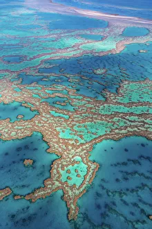 Travel/queensland qld cairns great barrier reef/great barrier reef Travel/queensland qld cairns great barrier reef/great barrier reef