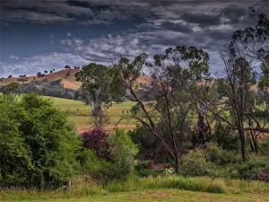 High Country scenery during summer, Mansfield district, Victoria, Australia High Country scenery during summer, Mansfield district, Victoria, Australia