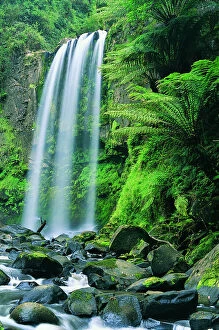 Images Dated 27th February 2004: Hopetown Falls, Great Ocean Road, Otway Ranges National Park, Victoria, Australia