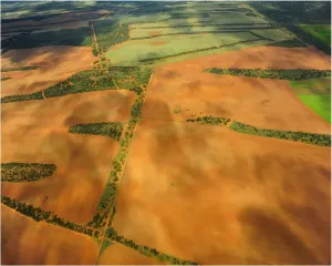 South Australia Landscape Photography Prints: Patchwork fields