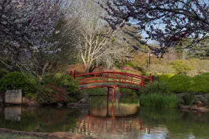 Japanese Garden in a public park in Toowoomba, Queensland Japanese Garden in a public park in Toowoomba, Queensland