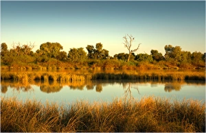 Lagoon in flood, Birdsville, outback Queensland, Australia Lagoon in flood, Birdsville, outback Queensland, Australia