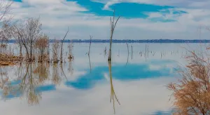 Lake Dumbleyung Early Morning Water Reflections Lake Dumbleyung Early Morning Water Reflections