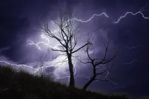 Thunderstorm over a Dead Tree Print