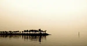 Australian Seascapes Photography Prints: Lost in the Fog