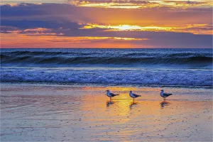 Moana beach Fleurieu Peninsula South Australia Moana beach Fleurieu Peninsula South Australia