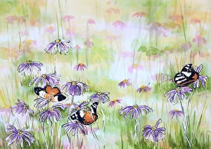 Monarch Butterflies Resting on an Aster Asteraceae Daisy Flowers Mixed Media Painting Monarch Butterflies Resting on an Aster Asteraceae Daisy Flowers Mixed Media Painting