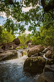 Mossman Gorge, Daintree National Park, Australia Mossman Gorge, Daintree National Park, Australia