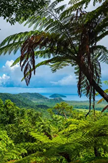 Mount Alexandra Lookout, Daintree National Park, Australia Mount Alexandra Lookout, Daintree National Park, Australia