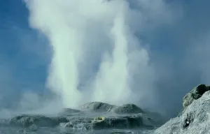 Rotorua Print: Whakarewarewa Geysers with Pohutu and Prince of Wales