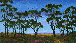 Oil Painting Australian Gum Trees at Twilight Oil Painting Australian Gum Trees at Twilight