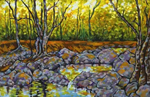 Oil Painting of River Rock Pools Trees and Dappled Sunlight Oil Painting of River Rock Pools Trees and Dappled Sunlight