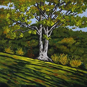 Oil Painting of Sunlight Splashing on a Tree on Green Grassy Hillside Oil Painting of Sunlight Splashing on a Tree on Green Grassy Hillside