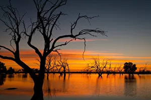 Outback Sunrise over Lake Pinaroo Outback Sunrise over Lake Pinaroo