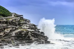 Bondi Beach Ocean Wave Print