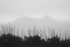 Procyon Peak and Mt Orion seen through the morning mist on the Cracroft Plains Procyon Peak and Mt Orion seen through the morning mist on the Cracroft Plains