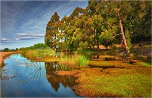 Quiet pond near Kettering in the southern area of the island state, Tasmania, Australia Quiet pond near Kettering in the southern area of the island state, Tasmania, Australia
