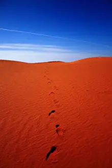 Australian Desert Landscapes Prints: Red sand dunes