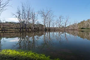Reflections on the Wyaralong dam in rural Queensland Reflections on the Wyaralong dam in rural Queensland