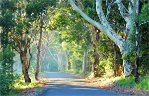 Back road to Narooma, New South Wales, Australia Back road to Narooma, New South Wales, Australia