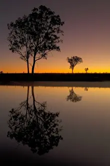 Australian Rural Landscape Prints: Rural reflections