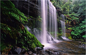 Russell falls in the Mount Field National Park, Southern Tasmania Russell falls in the Mount Field National Park, Southern Tasmania